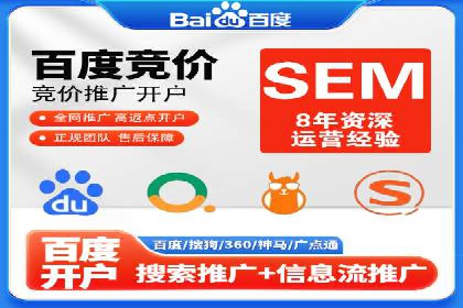 SEM投放策略优化案例分析